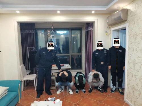 娱乐圈爆料流浪狗被抓了,流浪狗被抓,背后真相引人关注 第3张 娱乐圈爆料流浪狗被抓了,流浪狗被抓,背后真相引人关注 第3张